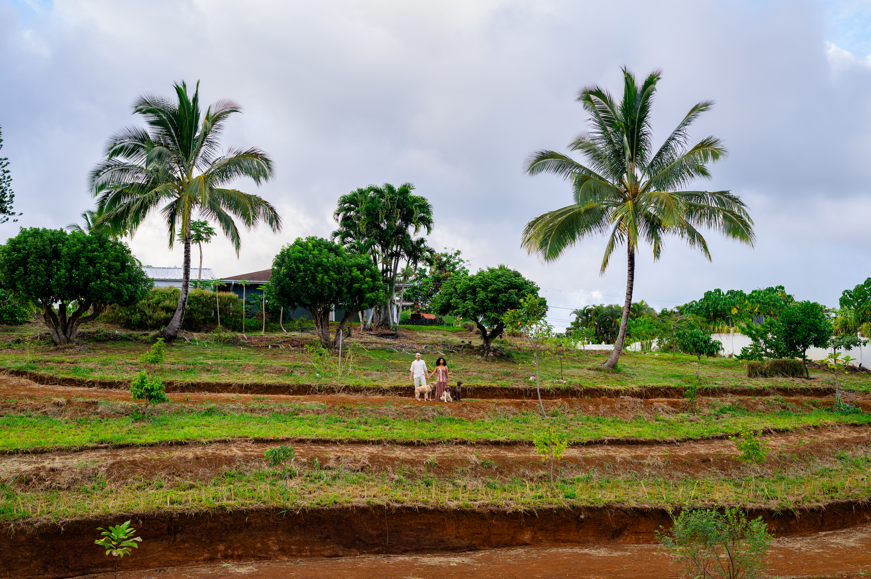 Sharing Holistic Goods Through Homestead By Studio Tanah