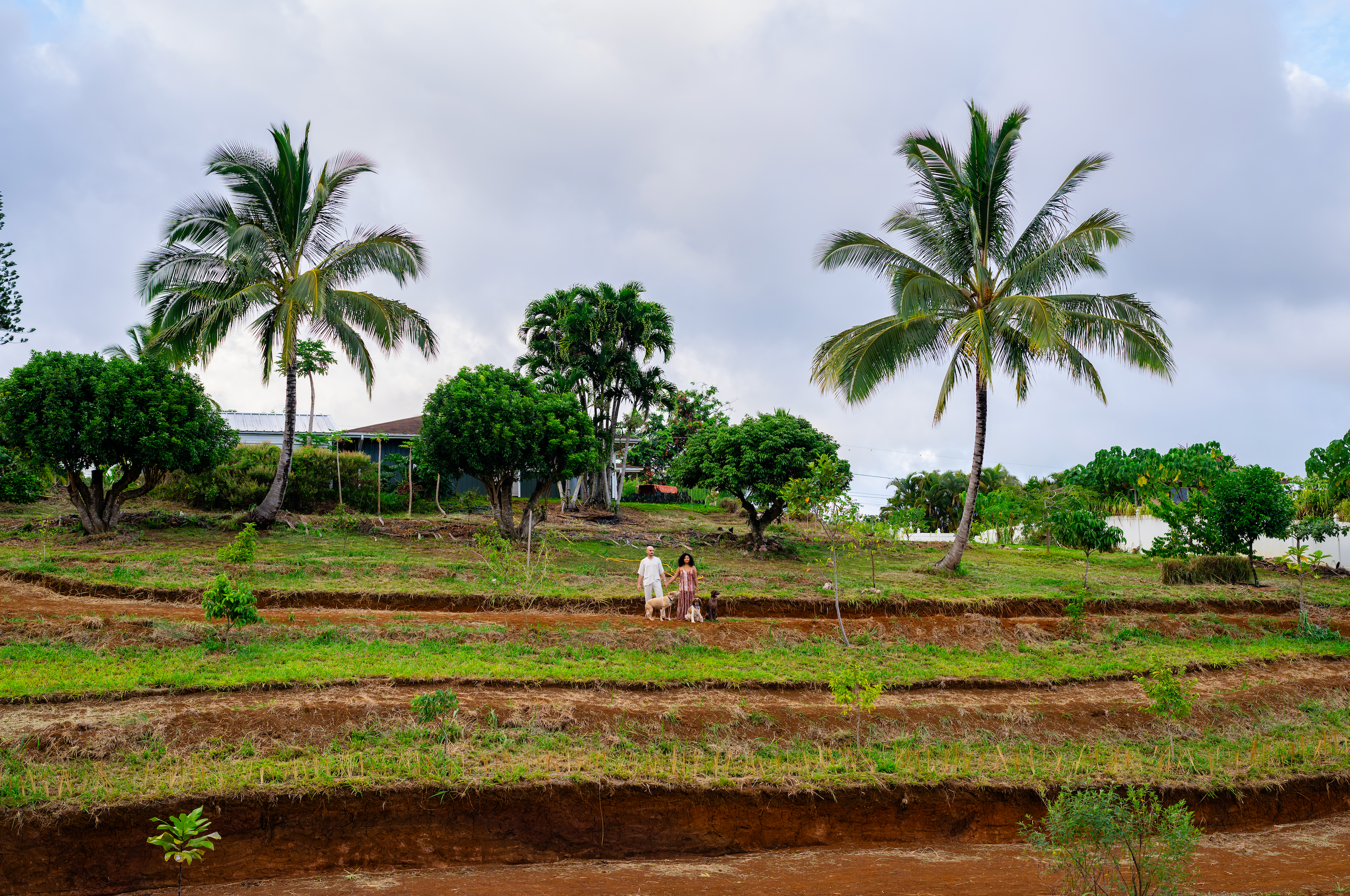 The Hodges Homestead