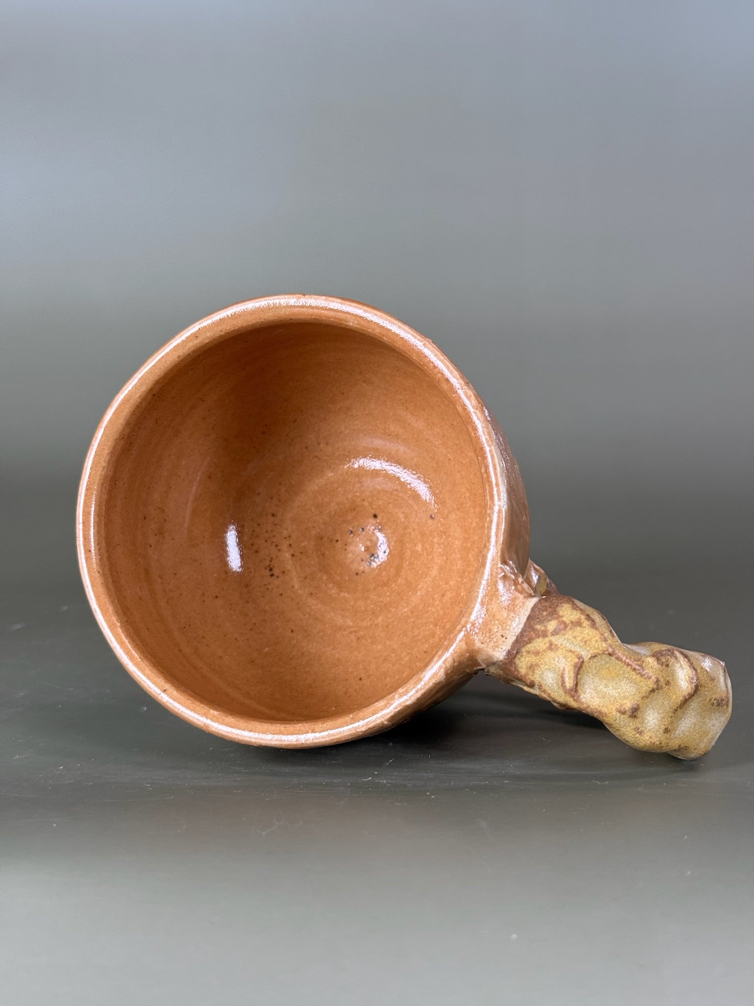 Bone of the Earth Mug
