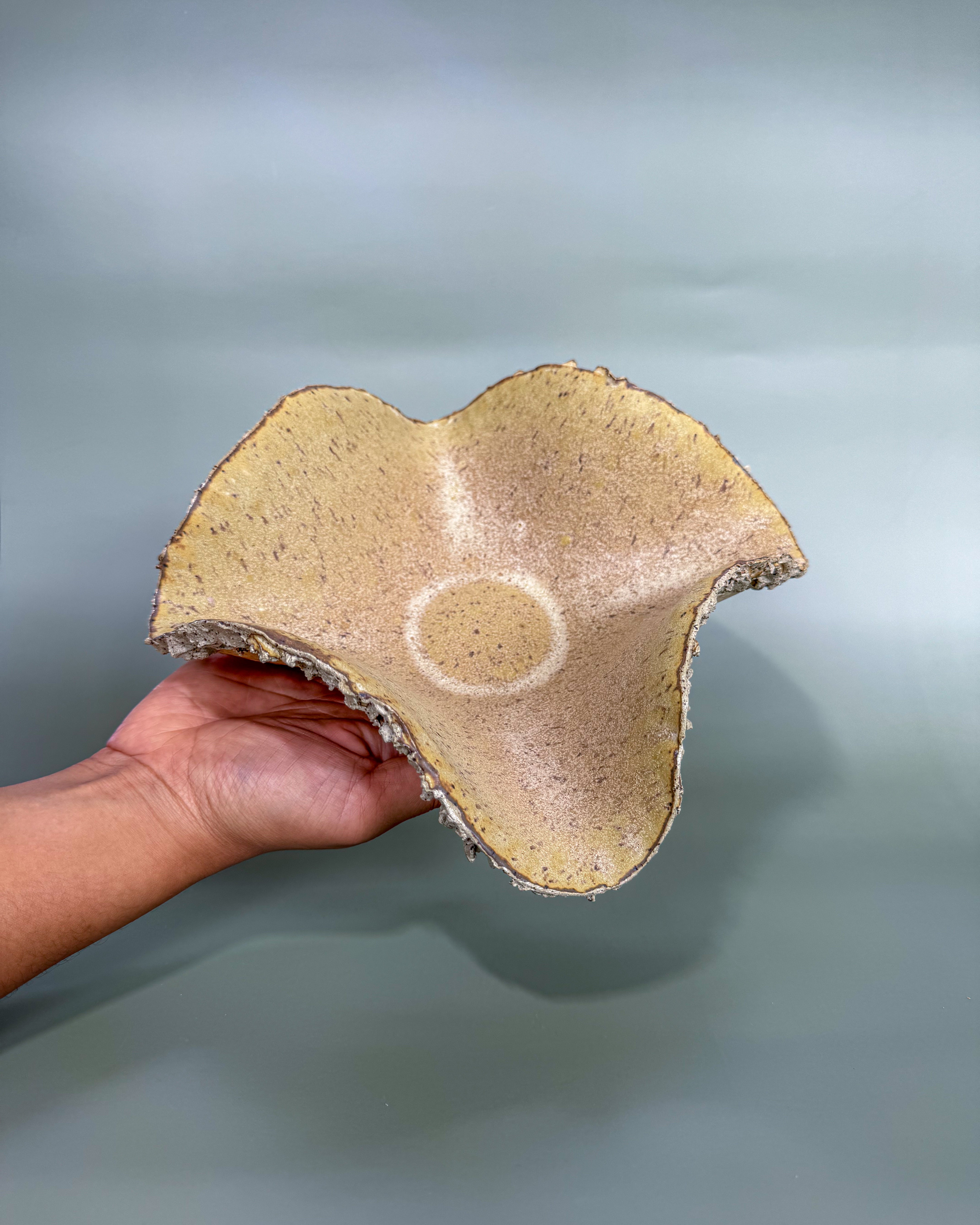 Seashore Catchall