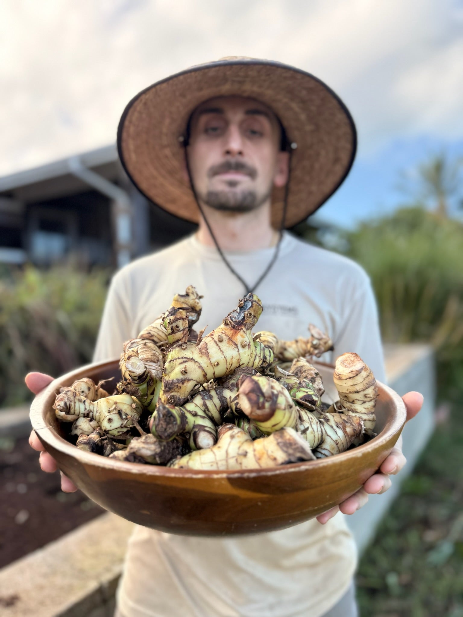Island Sunrise Brew: Yerba Mate Lemongrass & Galangal Elixir