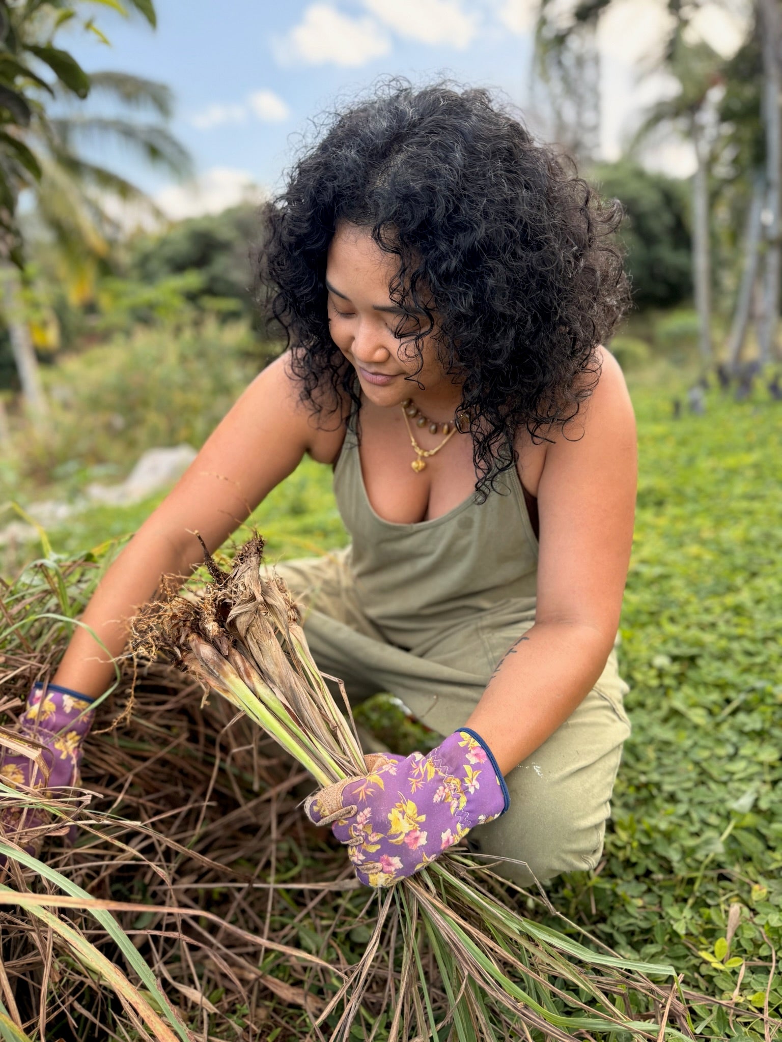Island Sunrise Brew: Yerba Mate Lemongrass & Galangal Elixir