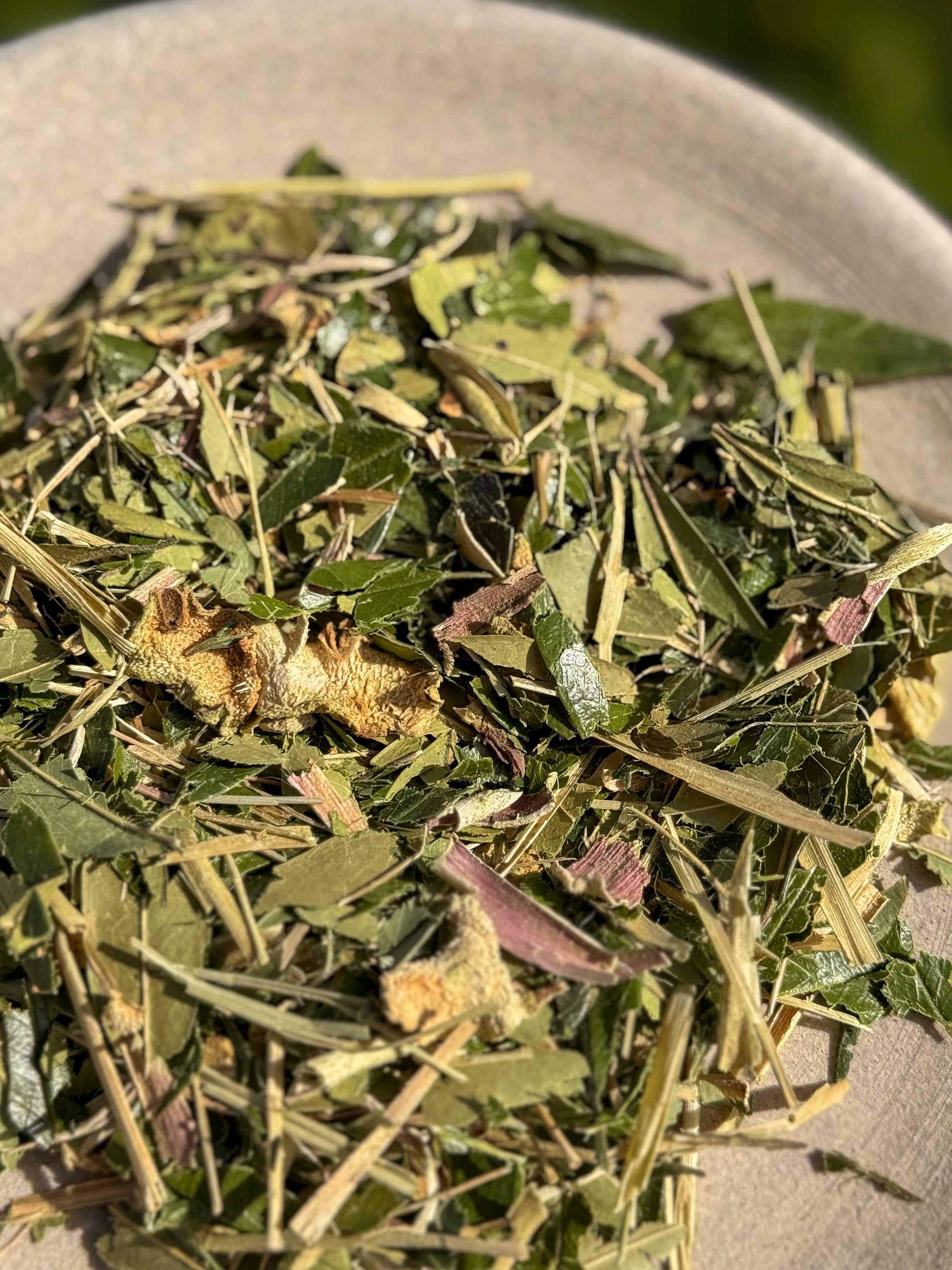 Island Sunrise Brew: Yerba Mate Lemongrass & Galangal Elixir