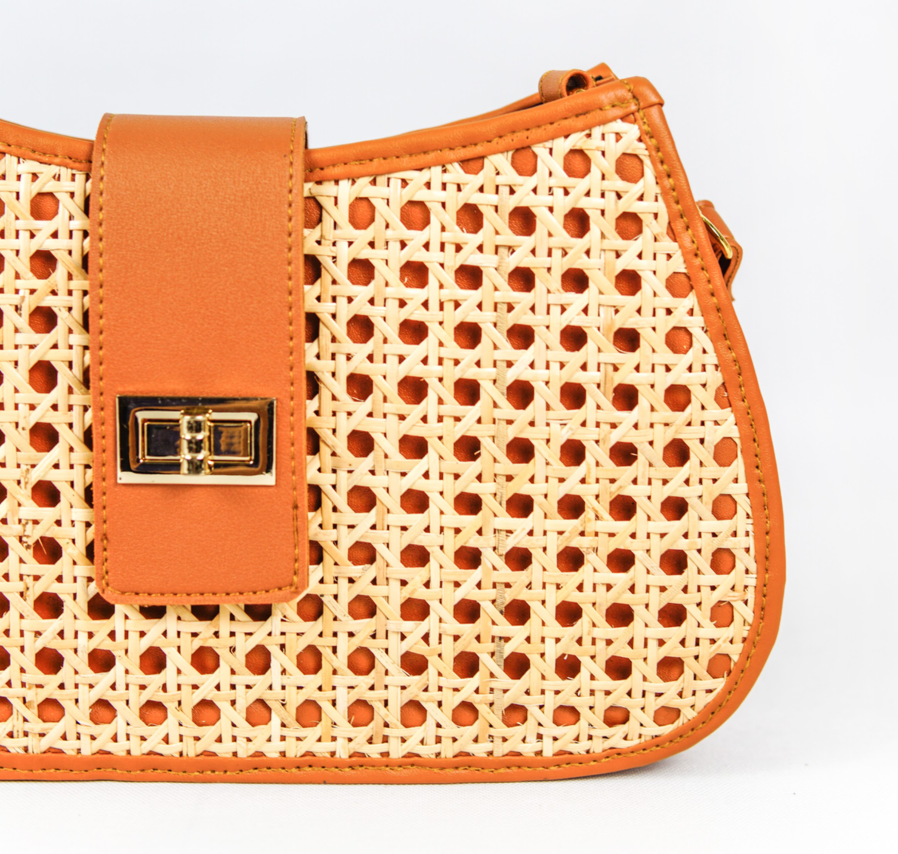 Tani Bag