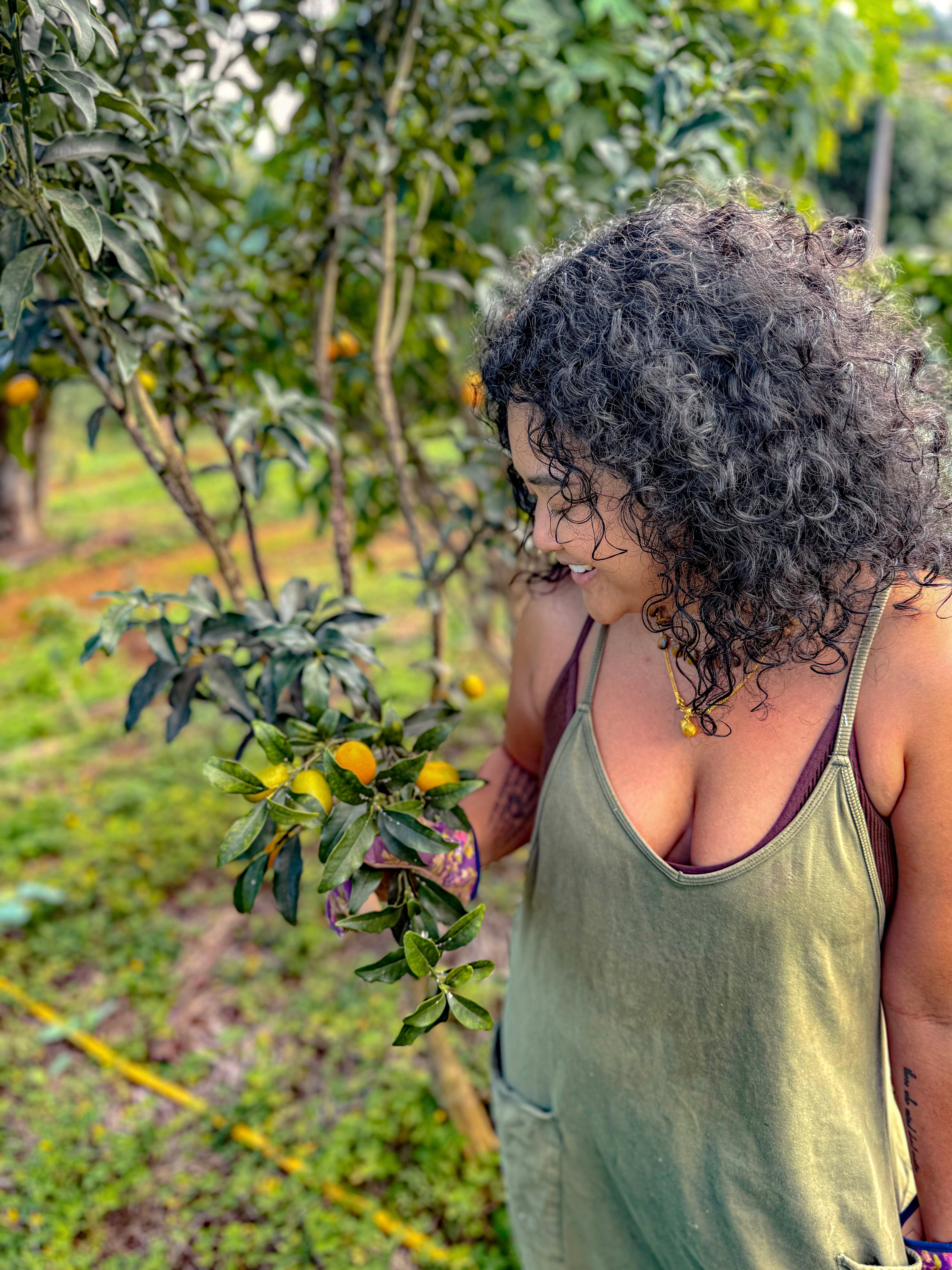 Tulsi Tranquilitea: Holy Basil Lemongrass Galangal & Kumquat Elixir