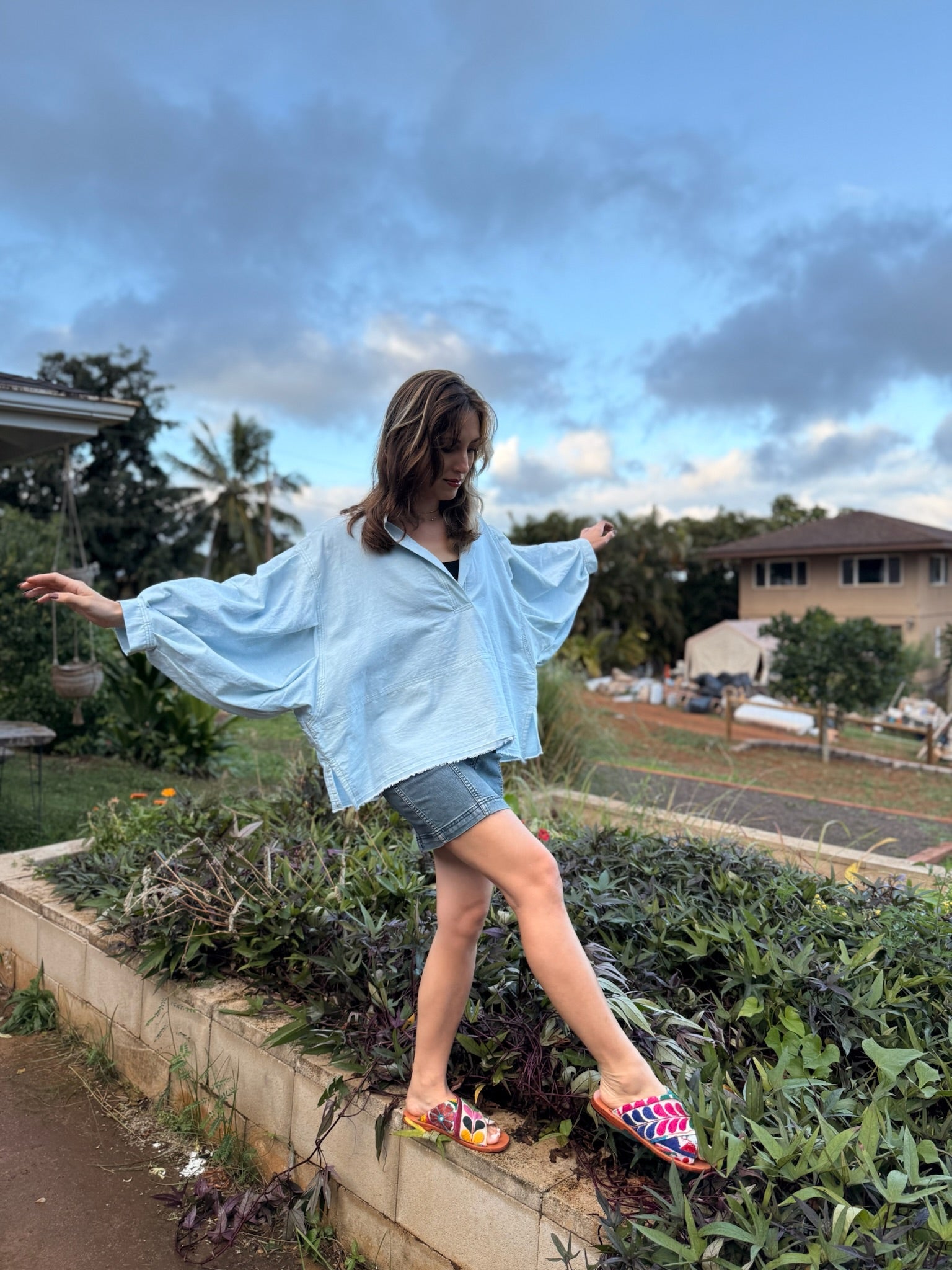 Carlie Denim Pullover